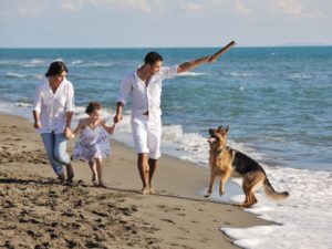Summer Holiday