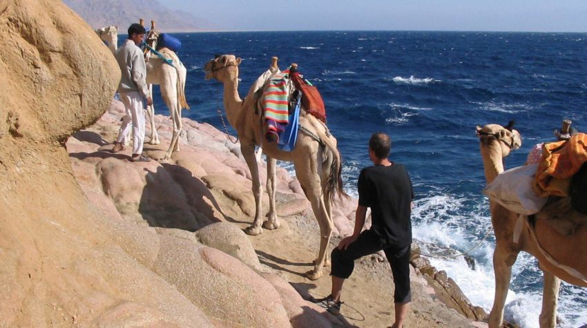 Visit Cairo To Find Out